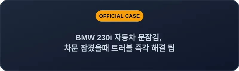 BMW 230i 자동차 문잠김, 차문 잠겼을때 트러블 즉각 해결 팁